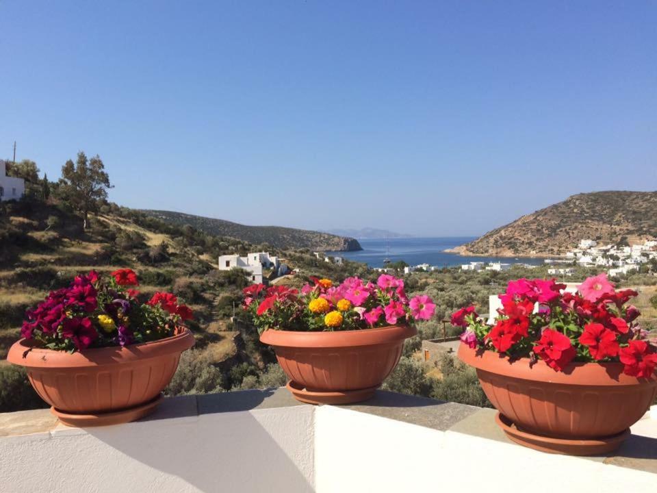 Villa Costa Studios Vathi  Exteriér fotografie